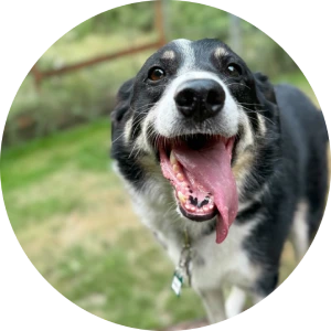 Testimonial 1 (Karen)