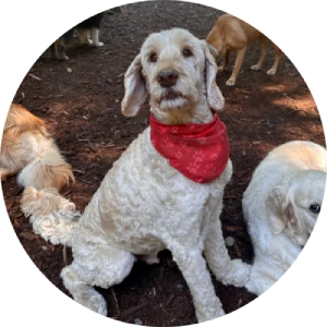 Testimonial 2 (Christine)