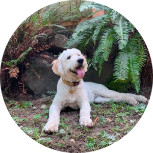 Testimonial 3 (Tara)