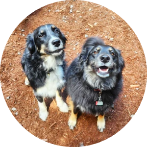 Testimonial 4 (Isabella)